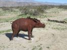 PICTURES/Borrego Springs Sculptures - Tortoise, Pigs & Tapir/t_IMG_8810.JPG